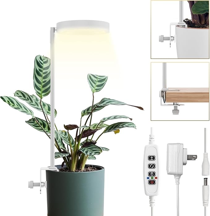 GLOWRIUM Grow Lights for Indoor Plants, Full Spectrum LED Grow Light Floor Lamp with Stand Adjustable Height and Angle, Black Plant Light with 3/9/12H Grow Light Timer (White, 12W)