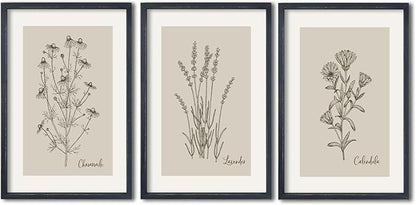 TQianJiang Set Of 3 Framed Vintage Botanical Prints Wall Art 16"×11" Wildflower Pictures Wall Decor for Bedroom Bathroom Living Room Minimalist Line Drawing Neutral Tones Wall Hanging (Black)