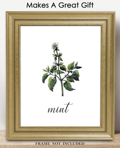 Minimalist Mint Plant Print, Vintage Botanical Wall Art - Give Your Home A Touch of Elegance With Plant Pictures Wall Art, Unframed 11x14 Botanical Decor Poster Prints