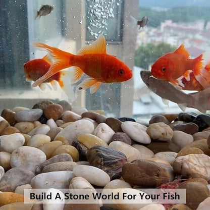 White Pebbles for Indoor Plants, Natural Polished River Rocks, Small Decorative Stones for Planters Vase Fish Tank Aquariums Landscaping Garden, 5lbs