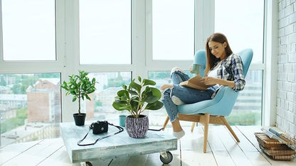AlphaAcc Artificial Plants Real Looking and Touching Fake Plant Evergreen Plastic Fiddle Leaf Fig Plant with Rustic Black Cement Planter for Housewarming Office Desk Decor