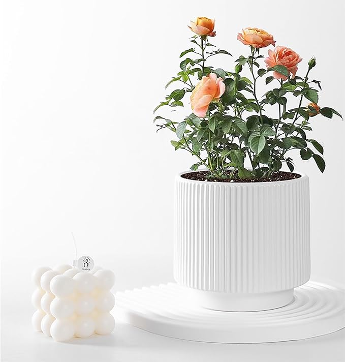 Ceramic 4.9+6.3 inch Planters, Modern Home and Office Flowerpot, Indoor and Outdoor Flowerpot with Drainage Hole (White)