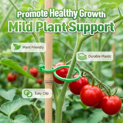 Plant Stem Support,Plastic Plant Clips for Climbing Plants,Tomato Vine Clips,Plant Fixing Clips,Garden Clips (Green 50pcs)