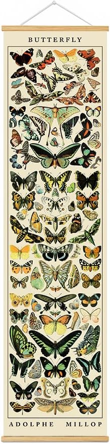 BAEMEFLE Vintage Flowers Poster Hanger Frame, Plant Floral Reference Chart Wall Decor Cottagecore Room Decor Aesthetic, Retro Style Wall Decor Art Painting Prints. (Long Butterfly, 63L x 16W)