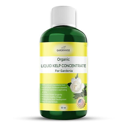 Organic Premium Kelp Seaweed Fertilizer for Gardenia - Liquid Fertilizer - Liquid Plant Food - Nutrient-Rich Soil Enhancer - Natural Plant Food for Gardenia Plant (32 OZ)