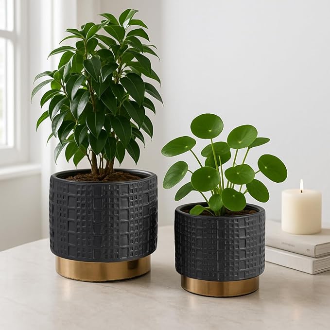 Set of 2 Mesh Metallic Decorative Planter Pot with Gold Accents – Ceramic Stoneware Outdoor & Indoor Plant Pot – Modern Garden & Home Decor Planters – 6" & 7", Black