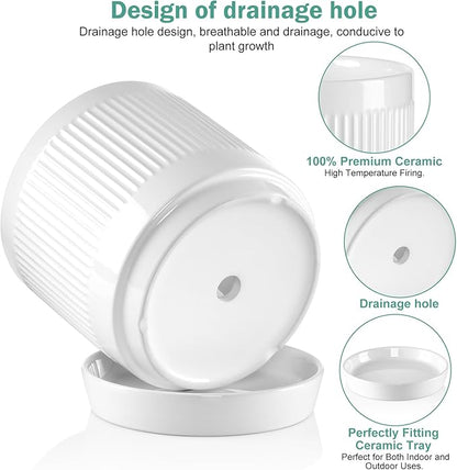 Vanavazon Ceramic Planter Pots for Indoor Plants with Drainage Hole and Saucer,6 Inch Cylinder Plant Pots,Glazed Finish Interior and Exterior,Set of 2 (White)