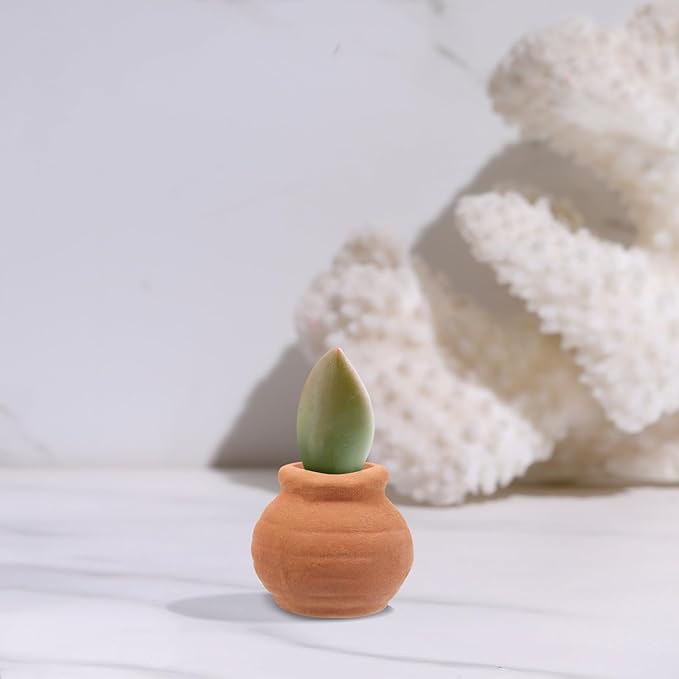 Alasum 8PCS Small Terracotta Pots Mini Clay Planters for Succulents Indoor Use Tiny Reusable Flower Pots for Desktop Decoration and Healthy Plant Growth