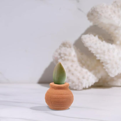 Alasum 8PCS Small Terracotta Pots Mini Clay Planters for Succulents Indoor Use Tiny Reusable Flower Pots for Desktop Decoration and Healthy Plant Growth