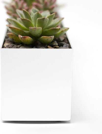 Buhbo Steel Rectangular Planter Box - 16 Inch, White - Modern Trough for Succulents & Small Plants, Indoor/Outdoor Use, Durable Alloy Steel with Drainage