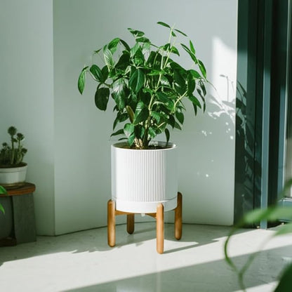 8 Inch Ceramic Planter with Natural Wood Stand w/Drainage & Saucer - Modern Indoor Planter for Cacti, Snake Plants & Aloe Vera