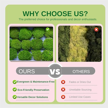 Preserved Moss for DIY Crafts - 1.5 sq.ft Natural Dried Moss for Terrarium, Fairy Garden, Home Decor, Wall Art, Floral Arrangements - Flexible Real for Creative Projects, Dark Green