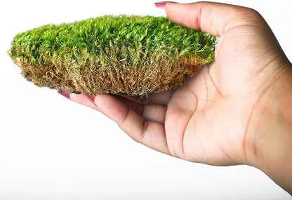 Super Moss Mood Moss Preserved Natural Green 1200cuin, Fresh Green, 200 in3 Bag (Appx. 8oz) (21539) (Pack of 2)