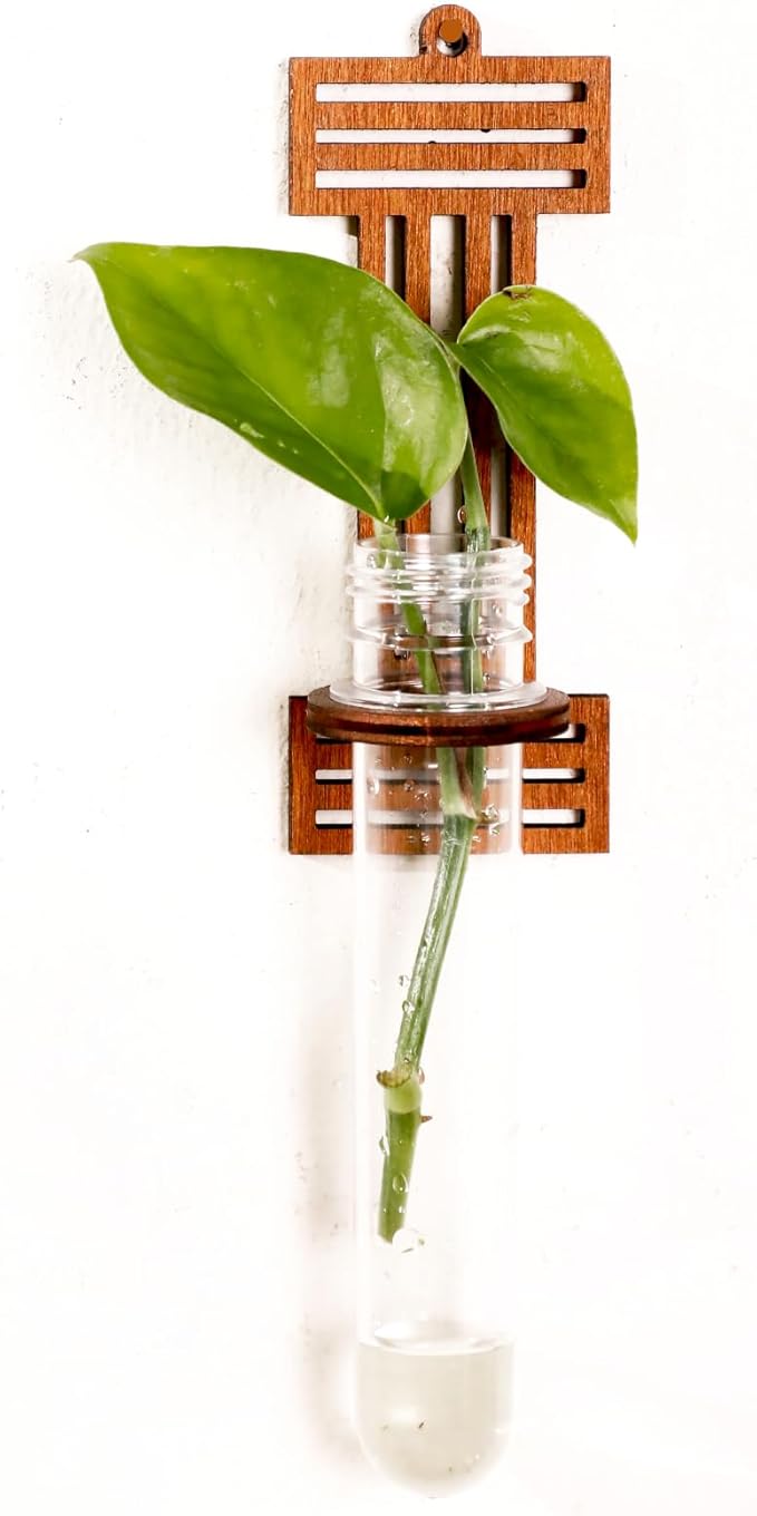 Wood Letter Wall Planter Terrariums Propagation Station with Test Tube Clear Flower Vase for Hydroponics Custom Vertical Garden Walnut DIY Home Decor Hanging Plant Holder Alphabet