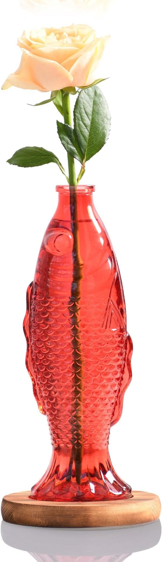 Nacome Fish Vase Propagation Stations: Glass Plant Terrarium with Wooden Stand for Home Office Desk Decor, Unique Gifts for Plant Lovers Women Mom (Red)