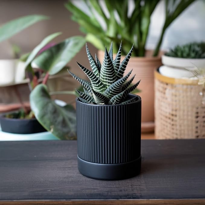 Small Plant Pots, 4 Inch Pots for Indoor Plants, Modern Minimalist Ceramic Plant Pots with Drainage Hole & Saucer, Matte Black Set of 2