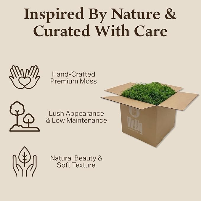 Preserved Spanish Moss - Decorative Moss - Dried Moss for Crafts, Home Decor, Art, Design & DIY Projects - for Indoor Use - Green Apple - Standard Box - Covers 10-12 sq. ft.