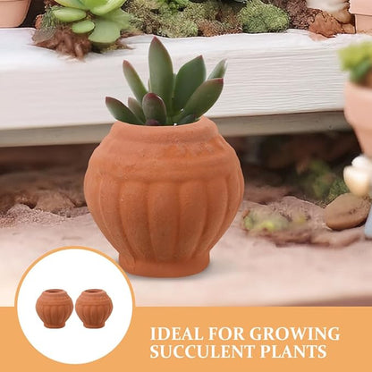 Alasum 2Pcs Mini Terracotta Pots Set for Succulent and Cactus Plants, Handmade Tiny Clay Planters for Indoor Desktop Nursery, Classic Natural Terracotta Flower Holders