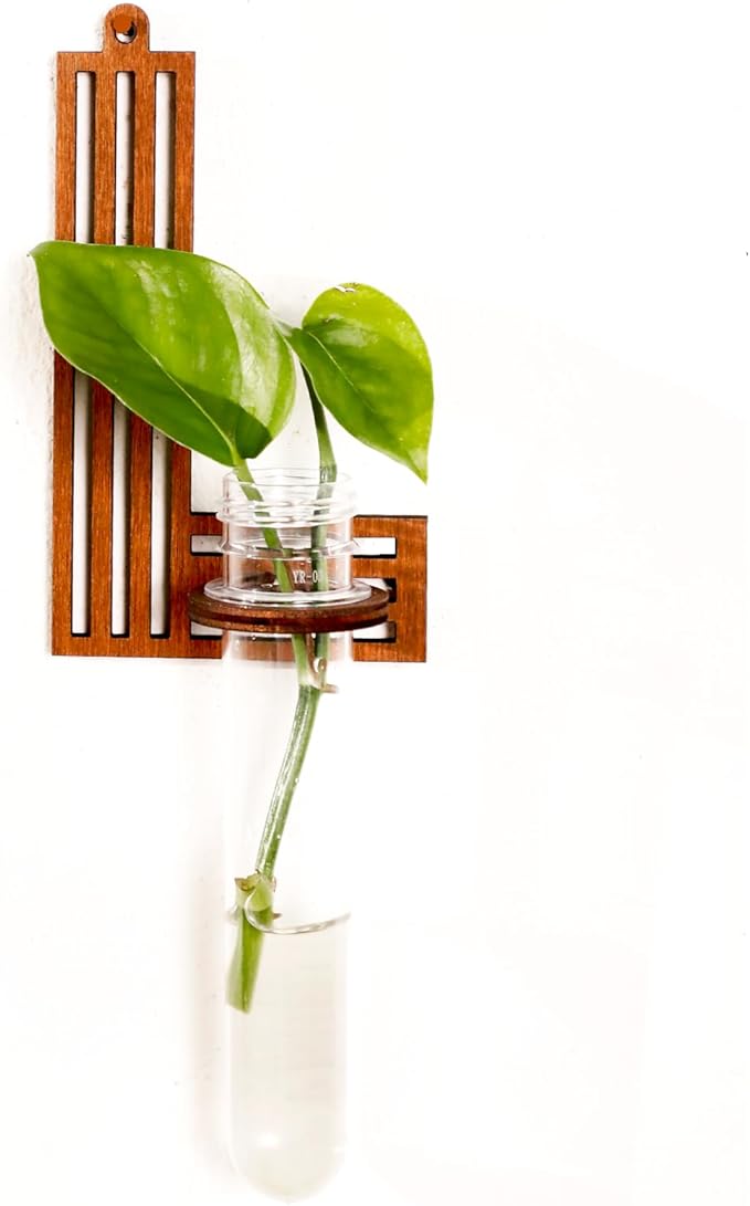 Wood Letter Wall Planter Terrariums Propagation Station with Test Tube Clear Flower Vase for Hydroponics Custom Vertical Garden Walnut DIY Home Decor Hanging Plant Holder Alphabet