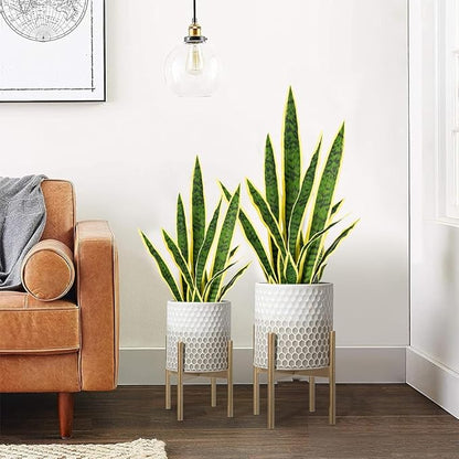 Melorca&Guilla Artificial Plants 6PCS 30“Tall Faux Snake Plant,Fake Snake Plants Artificial Snake Plants Agave Sansevieria Greenery for Garden Shop Office Home Décor