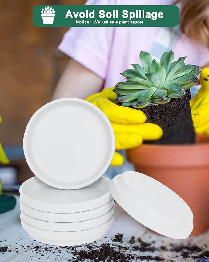 vensovo 6 Inch White Terracotta Plant Saucer Pots Tray - 6 Pcs Round Planter Saucers for Indoor & Outdoor Plants, Small Clay Trays Perfect for 5 Inch 5.5 Inch 6 Inch Flower Pot