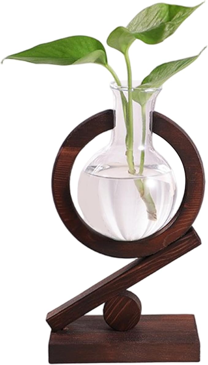 Plant Terrarium with Wooden Stand Glass Bulb Planter Propagation Station for Home Office Garden Plants Display Desk Decorative Ornament