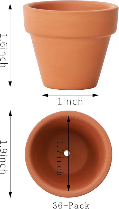 Yishang 1.9 Inch Tiny Terracotta Pots Pack of 36-Small Mini Clay Pots with Drainage Holes Flower Nursery Terra Cotta Planter for Tiny Cactus Herb lithop,Succulent Plants,Crafts,Wedding Favor