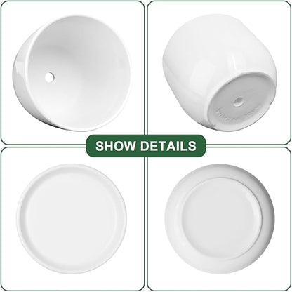 Ceramic Plant Pots,White 6.7 Inch Flower Pots for Plants,Ceramic Planter with Drainage Holes,Indoor Planter Pots with Saucer,Outdoor Garden Pots (White, 2 Pack)