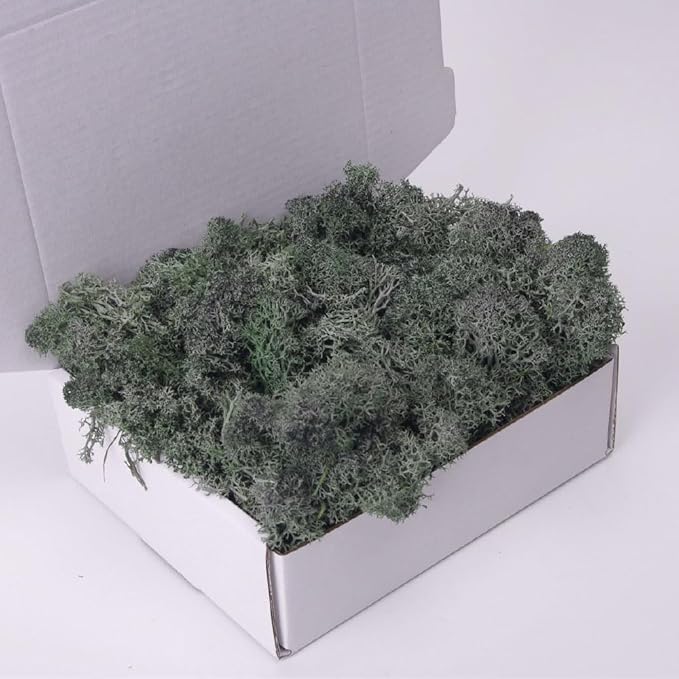 Preserved Moss-3.5 OZ Moss for Crafts Faux Moss Decor Natural Green Moss for Art Wall Florist Decor, Fairy Gardens, Wedding, Floral Project(Bottle Green 3.5 OZ)