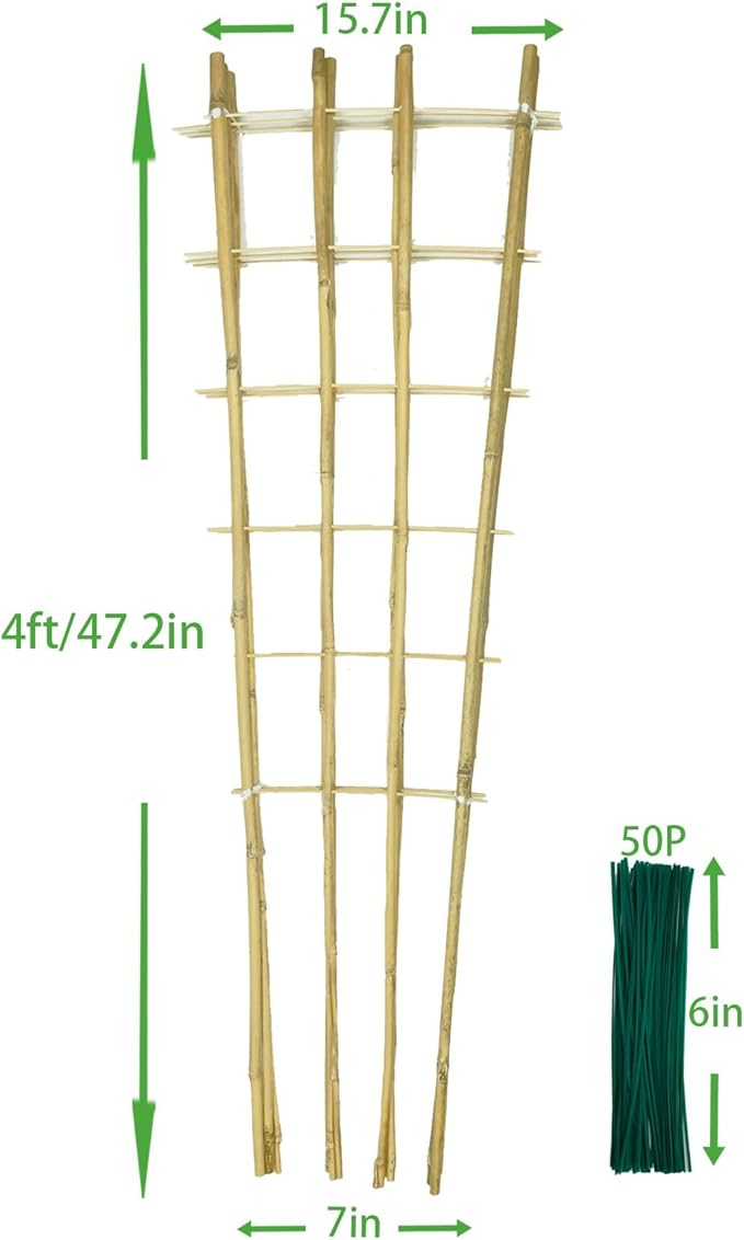 Natural Bamboo Trellis, 4Feet,6Pack,Fan-Shaped Plant Support Trellis for Outdoor and Indoor Potted Climbing Plants,Vegetables, Cucumber, Tomato, Hoya,