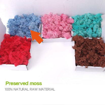 ACADOIT Preserved Moss-3.5 OZ Moss for Crafts Faux Moss Decor Natural Green Moss for Art Wall Florist Decor(Sky-Blue 3.5 OZ)