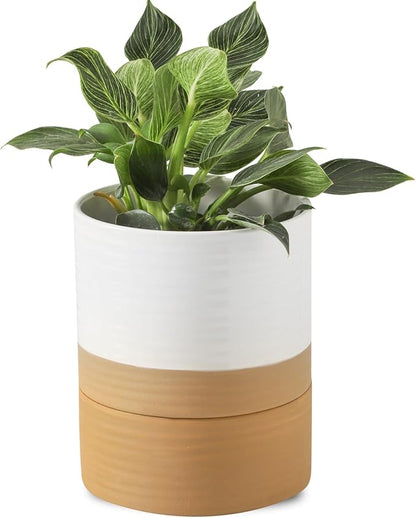 HASENSE Self Watering Plant Pot, 6 Inch Porcelain Planter with Drainage Hole and Saucers for Indoor & Outdoor Plants, Round Flower Pots for Houserwarming Gift, White