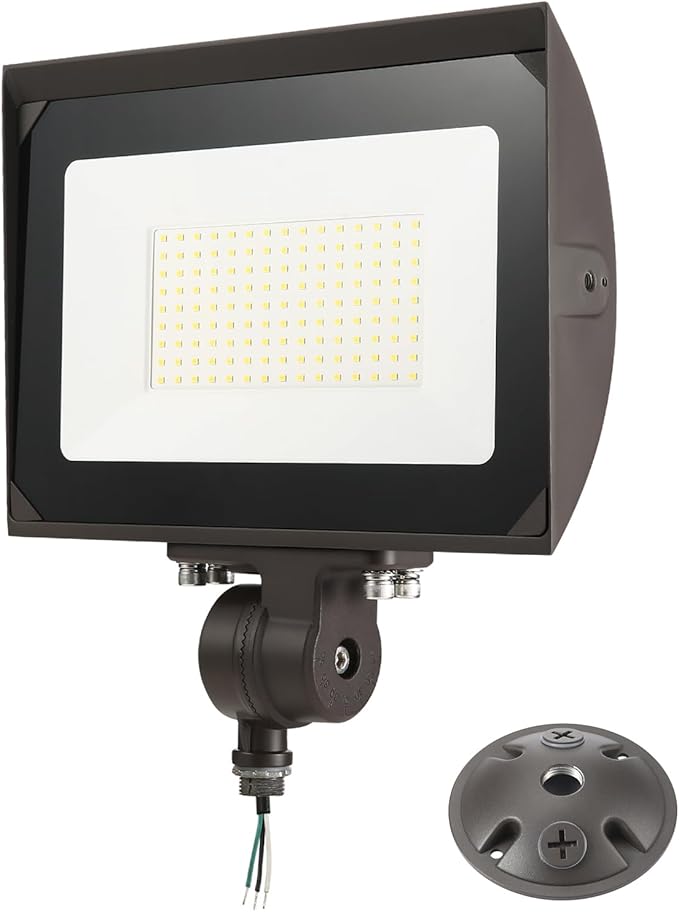 100W Outdoor LED Flood Light with Plate, 5000K Daylight 13000LM 120V, UL Waterproof LED Security Flood Lighting for Wall Wash/Sign/Flagpole/Tree/Yards/Advertising Boards