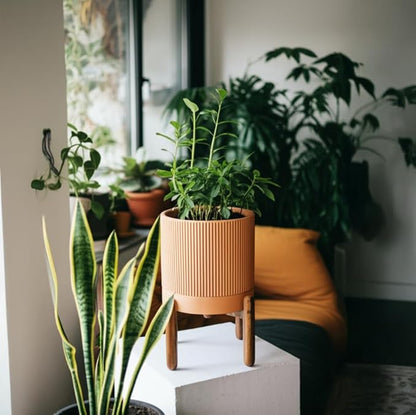 Large Terracotta Pots, 8 Inch Clay Planter Pots with Drainage Hole & Saucer (with Stand), Garden Planters for Indoor/Ourdoor Plants, Cactus & Snake Plant