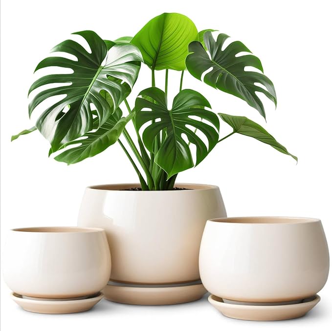 vancasso 3-Pack Ceramic Plant Pots, 7.3/9.6/11.6 Inch Indoor Planters with Saucers & Drainage Hole Planter pots for Indoor Plants and Flower, Brown