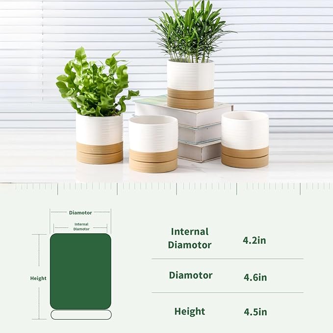 HASENSE 4.6 Inch Plant Pots, Ceramic Flower Pots for Indoor Plants, Small White Planter with Drainage Hole and Saucer, Cute Mini Windowsill Tabletop Decor, Set of 4