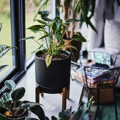 8 Inch Ceramic Planter with Natural Wood Stand w/Drainage & Saucer - Modern Indoor Planter for Cacti, Snake Plants & Aloe Vera Black