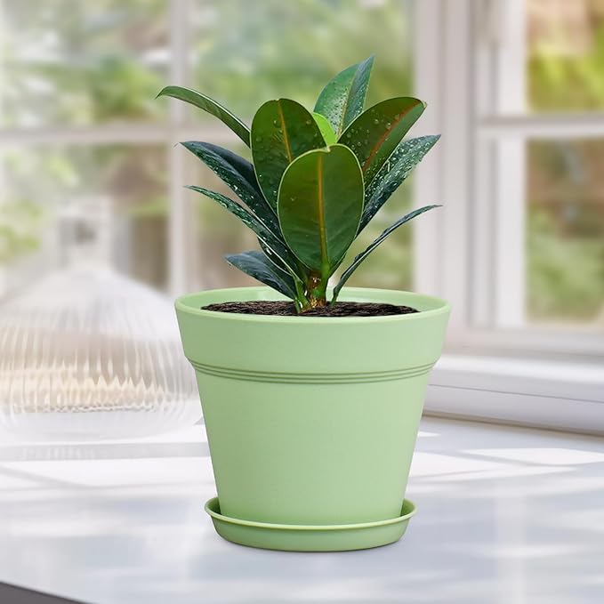 4 inch Small Plastic Nursery Pots,16 Pack Plant Pots for Indoor Outdoor Plants, Flower Pots with Drainage Holes and Saucers, Decorative Seeding Starter Planters for House Plants, Colorful
