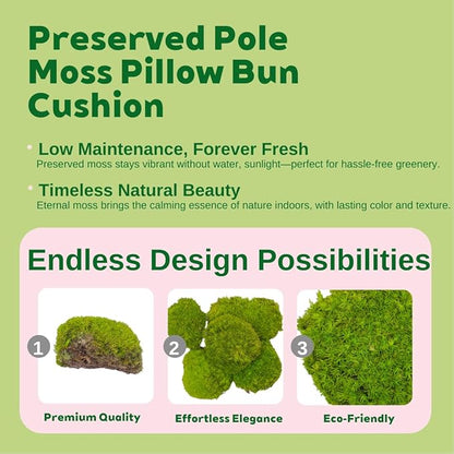 Preserved Moss for DIY Crafts - 1.5 sq.ft Natural Dried Moss for Terrarium, Fairy Garden, Home Decor, Wall Art, Floral Arrangements - Flexible Real for Creative Projects, Dark Green
