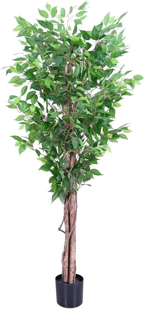 6ft Decorative Fake Ficus Tree Indoor, Artificial Trees Indoor for Home Decor, Potted Faux Tree Plant with Realistic Silk Leaves, Natural Triple Wood Trunk for Outdoor, Office