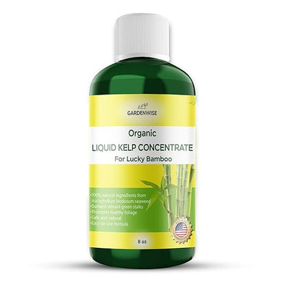 Organic Premium Kelp Seaweed Fertilizer for Lucky Bamboo - Liquid Plant Food - Soil Enhancer - Natural Plant Food (8 OZ)