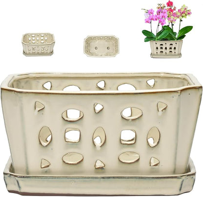 W&W Orchid Pot with Holes and Saucer for Repotting, Cream White, 9.7 Inches