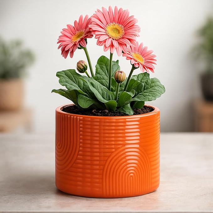 Elegant 6 Inch Ceramic Flower Pot – Indoor & Outdoor Planter for Succulents, Herbs, Small Plants – Includes Dibber & Widger – Thick-Walled Modern Design – Terracotta – 6" x 5.2"