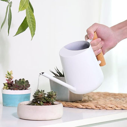 1L/33.8oz Wood Handle Long Spout Watering Can Stainless Steel Plant Watering Pot Garden Green Plant Flower Watering Kettle for Indoor Outdoor Plants Garden Flower (White)