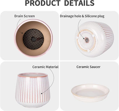 3.5 Inch Ceramic Succulent Planter Pots with Drainage Hole and Saucers, Small Glazed Ceramic Plant Pots for Indoor Flowers, Herbs, Cactus, Outdoor Plants, Pink, Set of 4 (Plants Not Included)