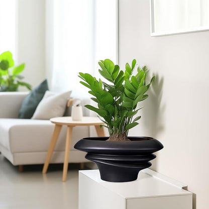 SQOWL Bonsai Pot 10 Inch - Ceramic Succulent Planter with Drainage Hole Large Plant Pot for Indoor Plants Outdoor Modern Home Decor Black