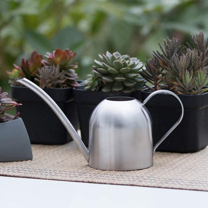 Stainless Steel Water Can for Indoor Plants and Garden (15 oz)