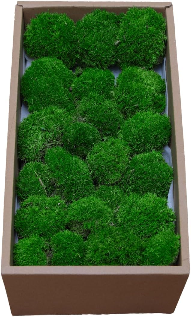 Preserved Moss for DIY Crafts - 1.5 sq.ft Natural Dried Moss for Terrarium, Fairy Garden, Home Decor, Wall Art, Floral Arrangements - Flexible Real for Creative Projects, Green