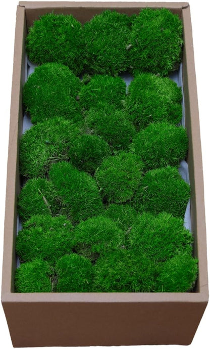 Preserved Moss for DIY Crafts - 1.5 sq.ft Natural Dried Moss for Terrarium, Fairy Garden, Home Decor, Wall Art, Floral Arrangements - Flexible Real for Creative Projects, Green