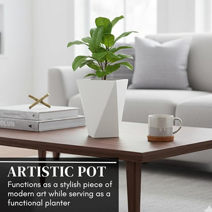 CZ Grain Modern White Geometric Tapered Planter | Minimalist Design for Succulents, Herbs & Small Plants | Hostess, Holiday or Coworker Gift | Indoor Flower Pot | Designer Aesthetic 6.6"x8.3" (5)